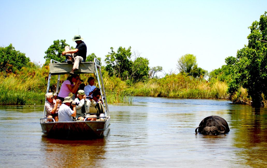 Okavango Delta, ein Eldorado für Tiergeschichten