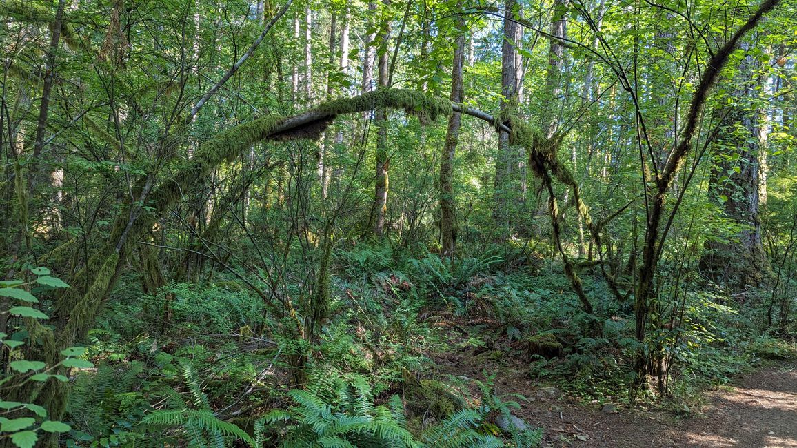 Miracle Beach Provincial Park