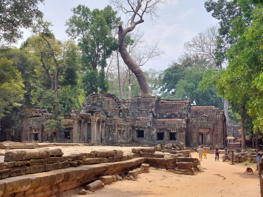 Temple de Ta Prohm