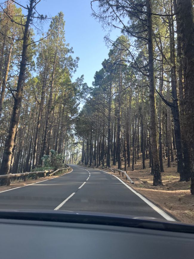 Teneriffa 30.06-04.07.2025