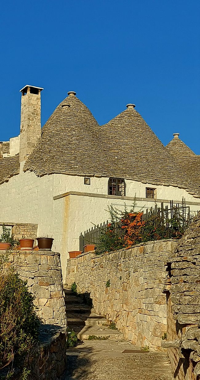 Alberobello: der schöne Baum