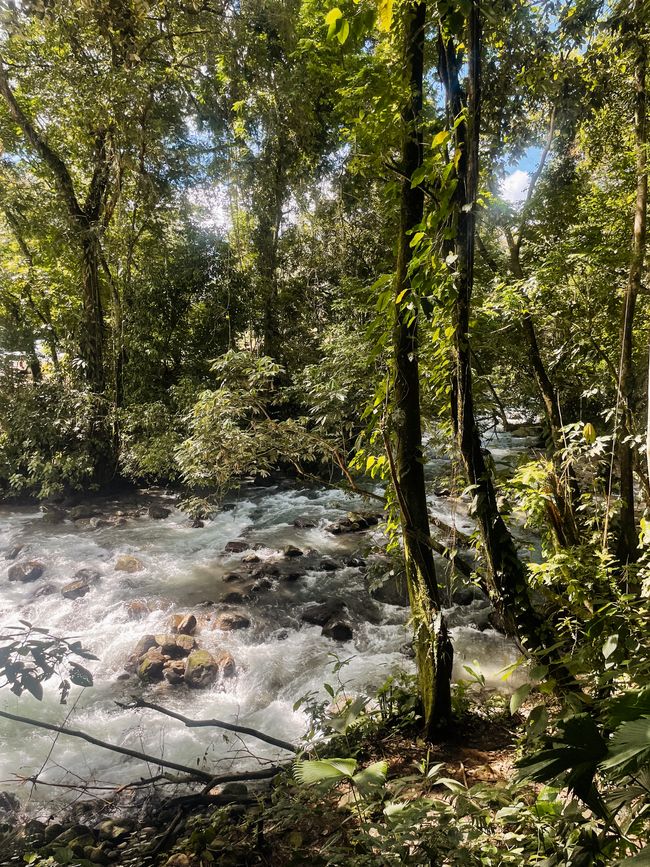 La Fortuna es español y significa "la suerte" 🌋