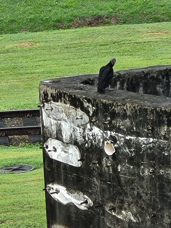 Day 41 of 175: Around the world cruise - Day passage through the Panama Canal