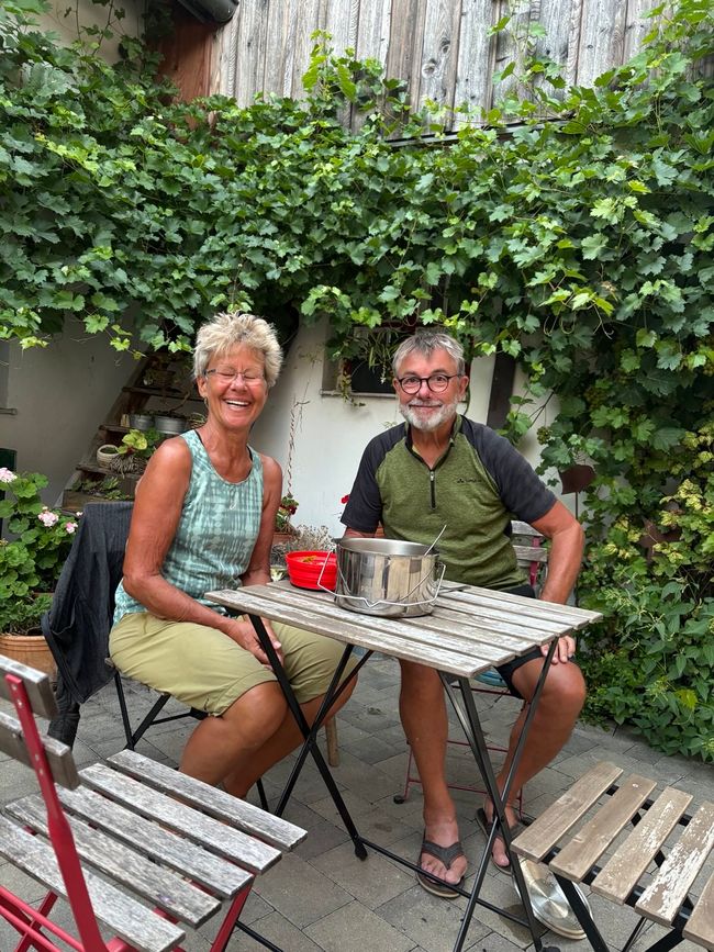 Through the Wine Region - from one winery to the next.....