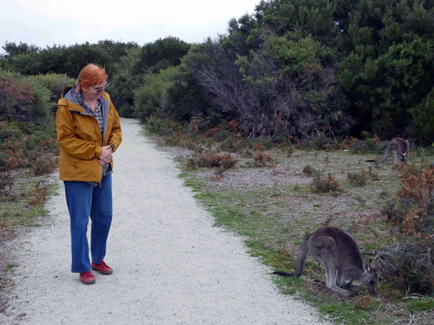 Melbourne - Wilsons-Promontory-Nationalpark