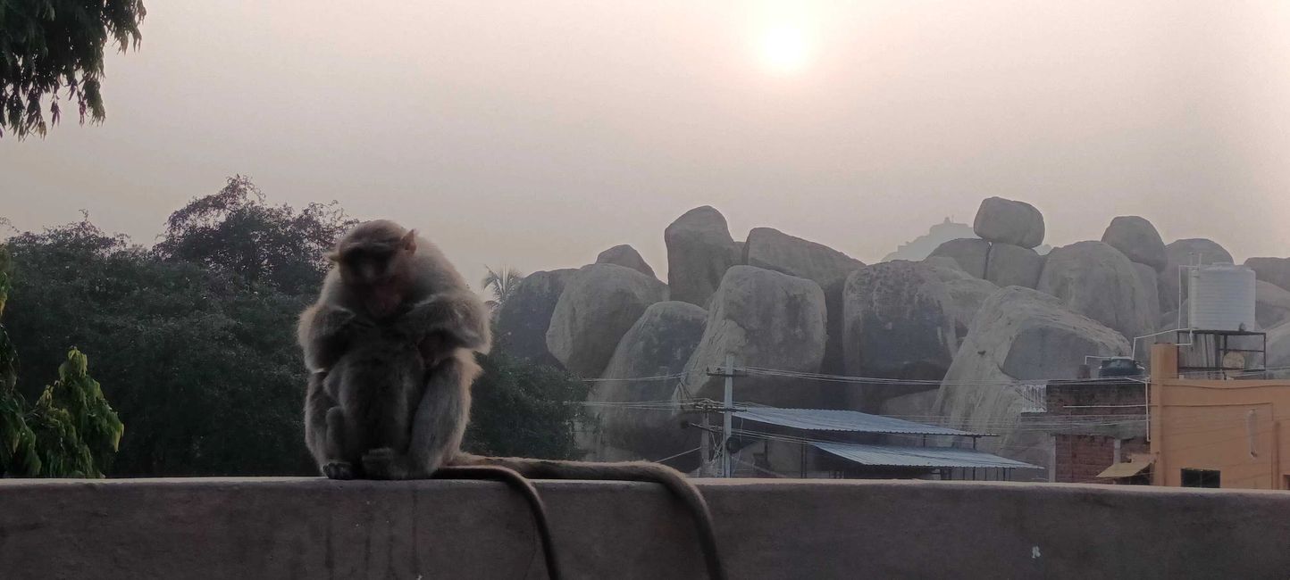 Auf der Dachterrasse am Morgen