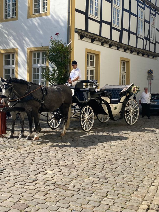 Von Rheda Wiedenbrück nach Mettmann