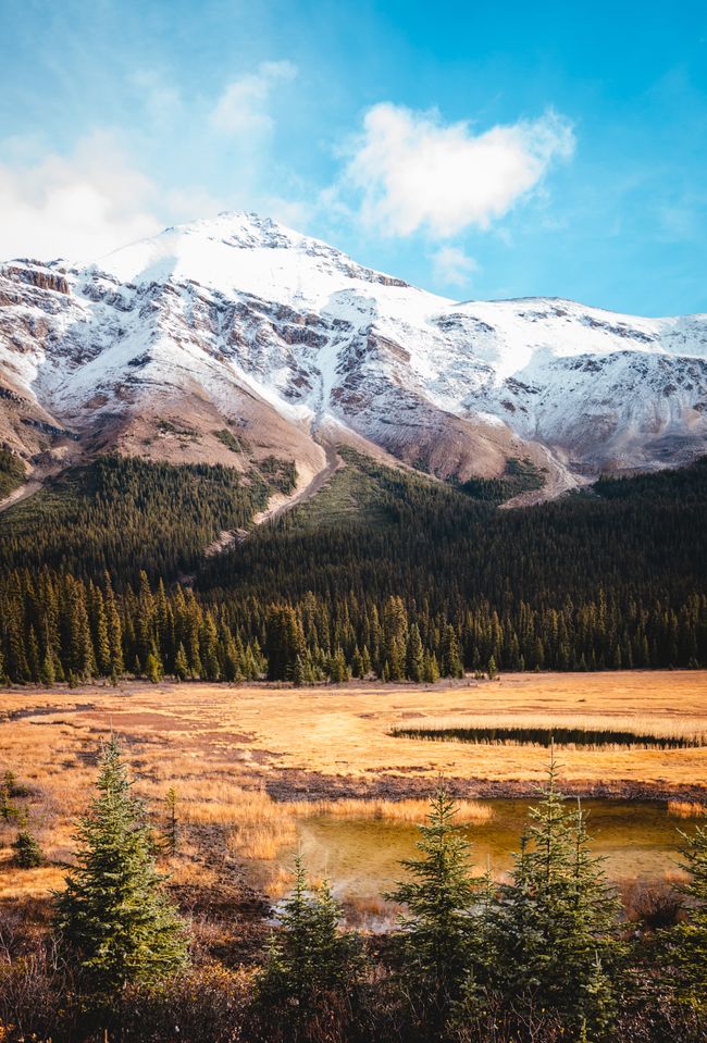 Autofahrt Lake Louise -> Jasper & de Waldbrand