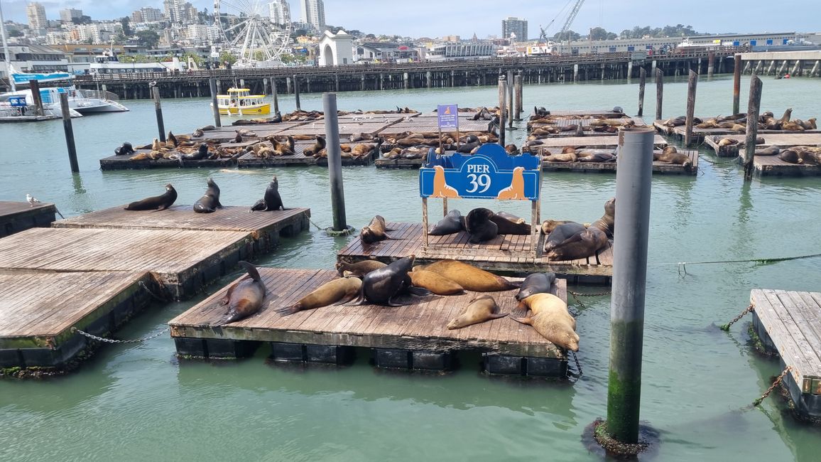 USA West Coast Roadtrip - Tag 8