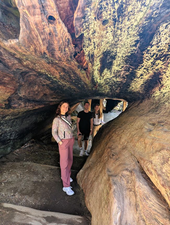 Parque Nacional Kings Canyon