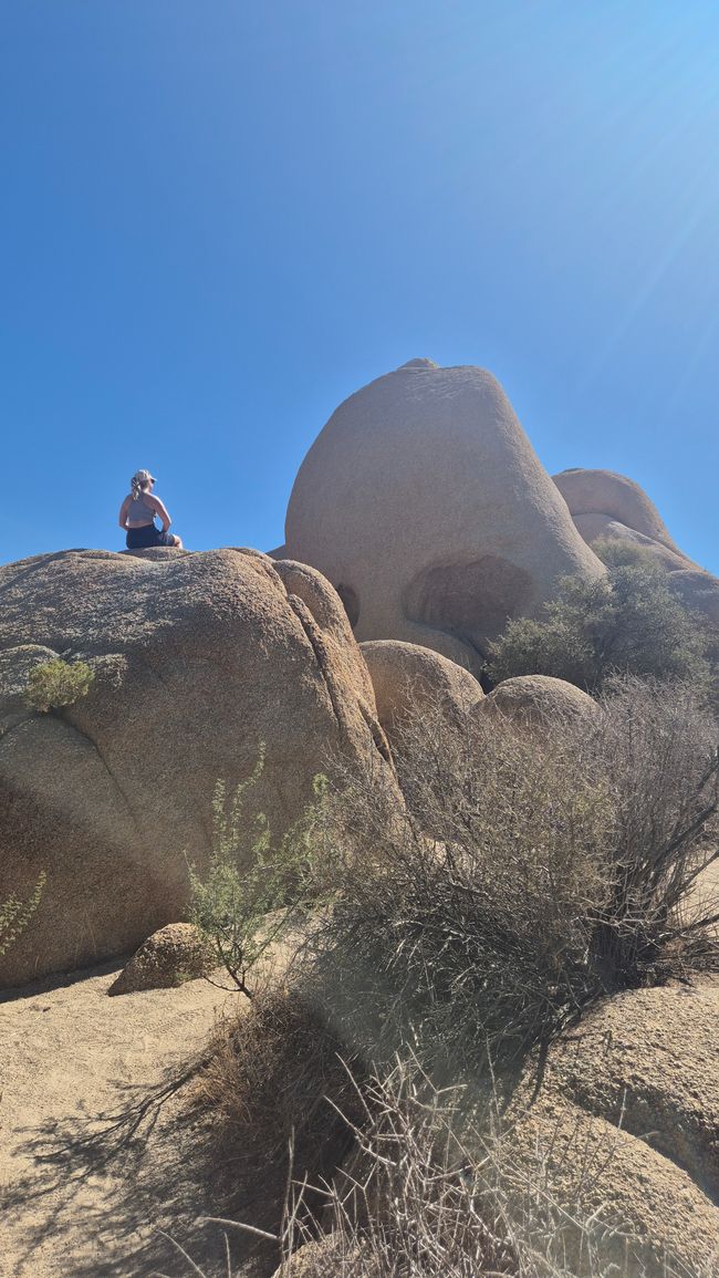 26.09. Joshua Tree Park