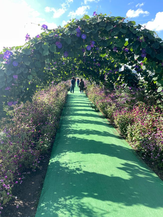 Der Pfad ins Paradies