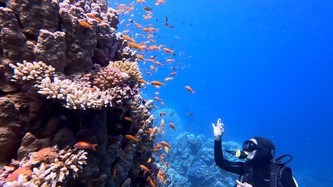Travis im Wadi Sabarah Resort, Marsa Alam