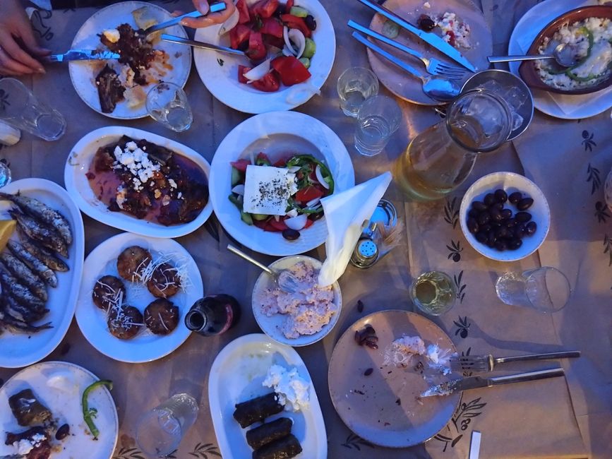 Tag 6: Irgendwas zwischen Ananas und Avocado - die Farm Home for all