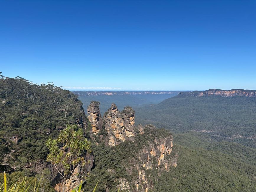 Blue Mountains