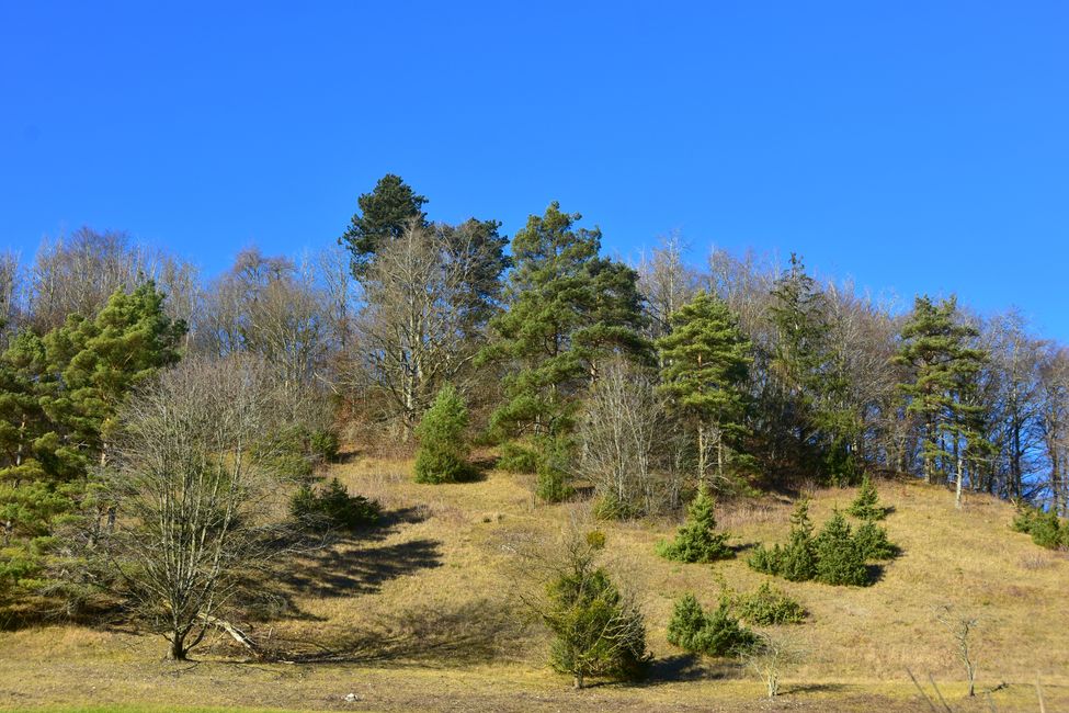 R E I T E R L E S   K A P E L L E - Wallfahrt, Legende und Wanderparadies