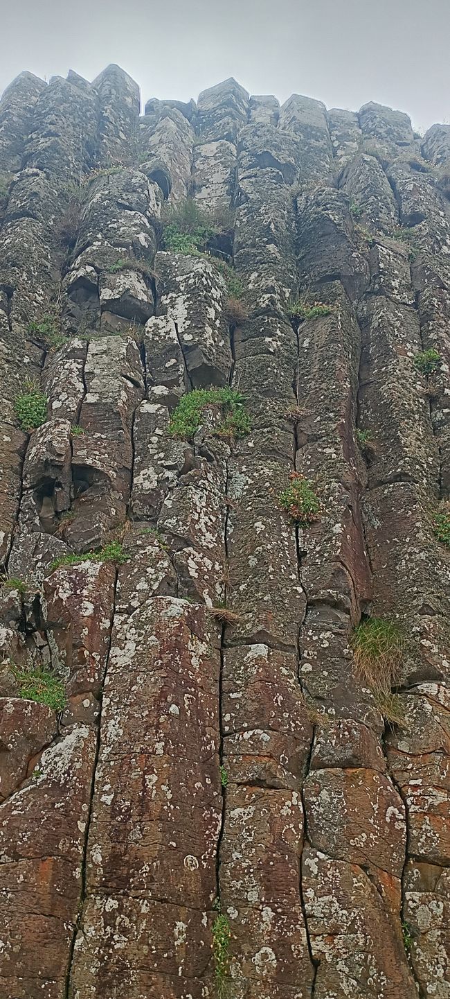 Giant's Causeway
