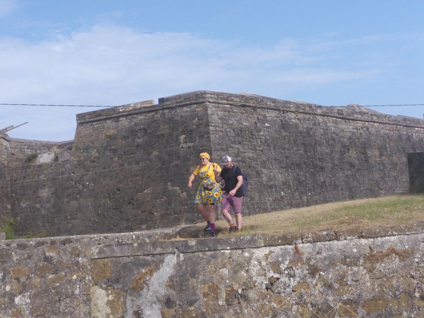 Unser Nachbar vor der Zitadelle 