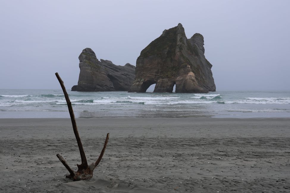 Abel Tasman