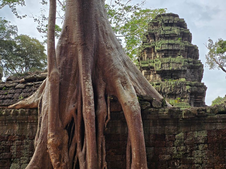 Ta Prohm
