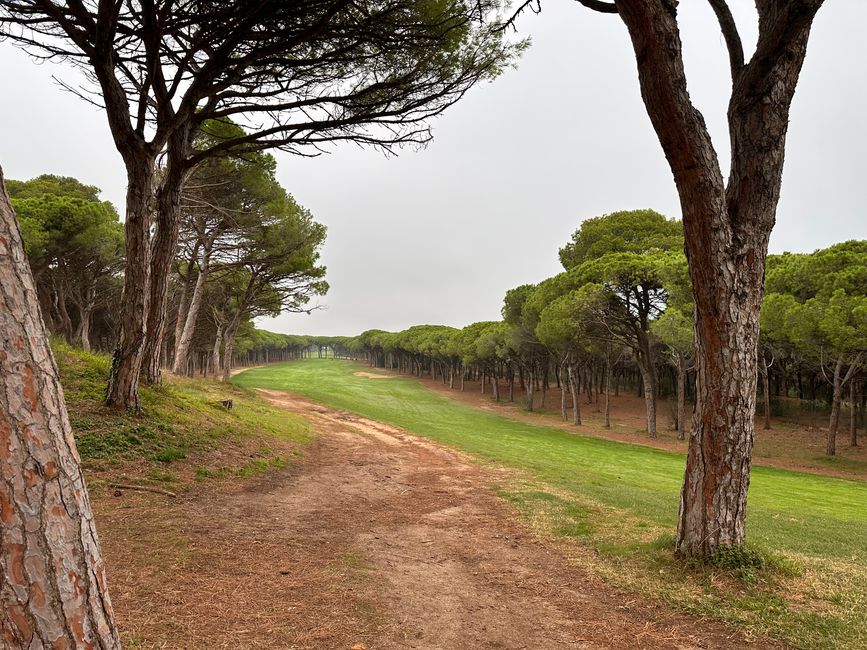 Golfturnier 1. Tag Golf Platja de Pals