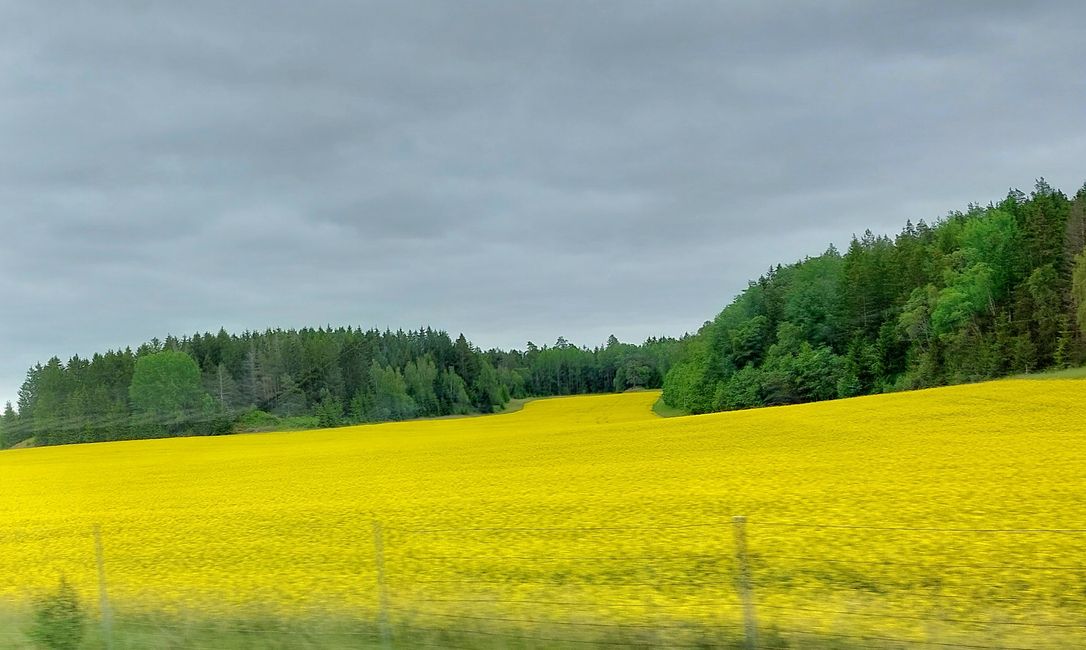 South Sweden Tour - Day 18