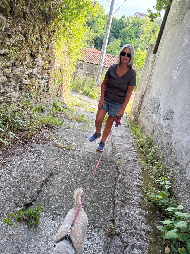 Reisetag: Besuch in Lerici