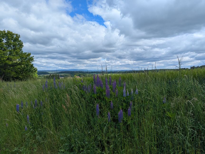 Vom Franken-in den Bayerischen Wald