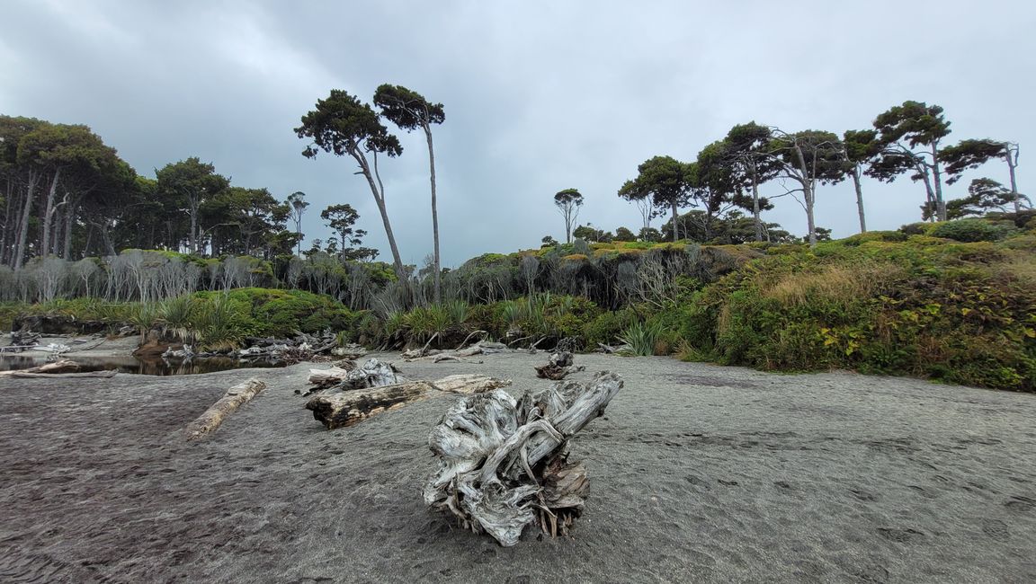 29.Januar-27.Februar 2025 Neuseeland
13.Februar
