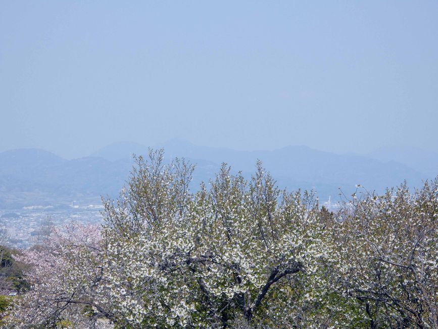 Nihondaira Yume Terrace
