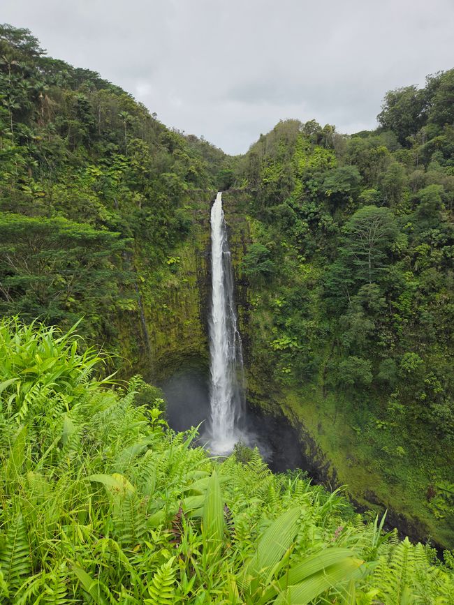 Parc de Honoliʻi Beach