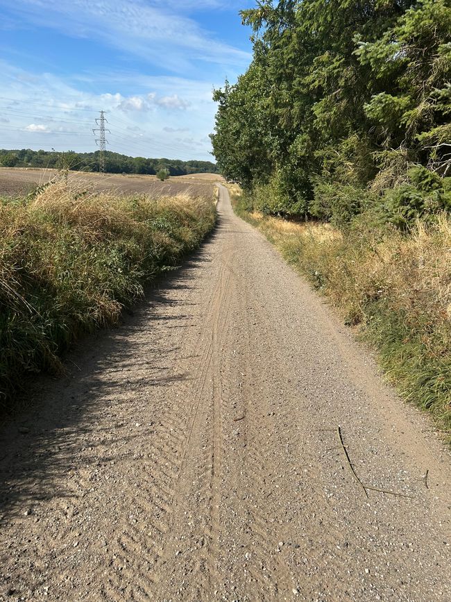 Idee 2 (ja), aber kurz vor Unfall