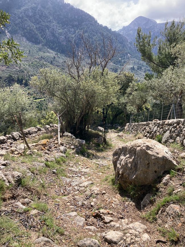 Fornalutx… heißt übersetzt, bestimmt- „steile Treppen“