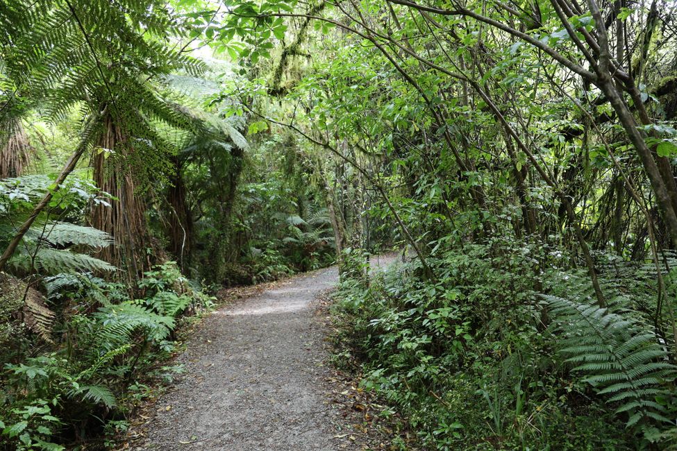 An der West Coast weiter Richtung Süden
