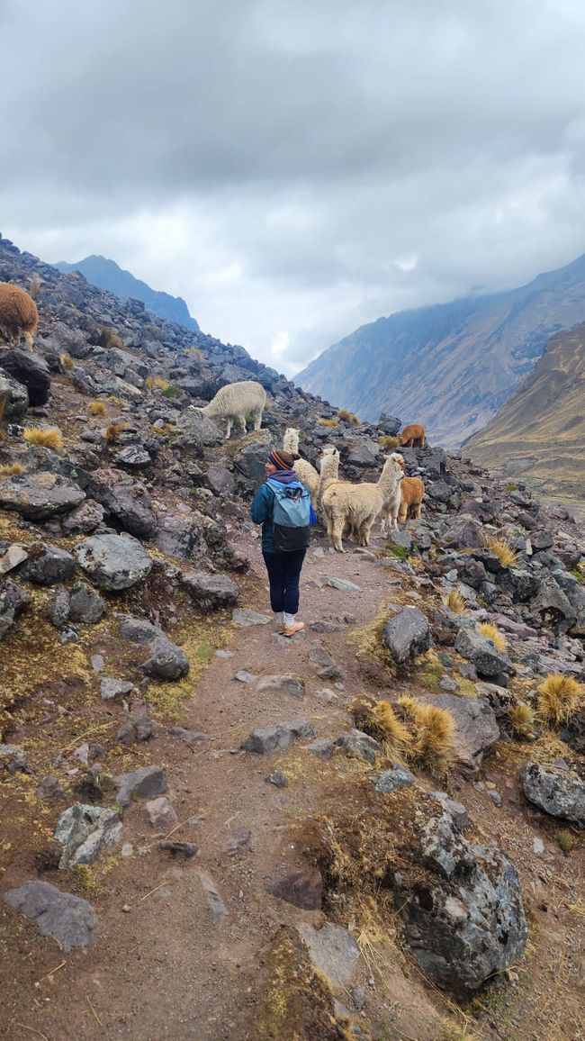 Cusco, Lares-Trek und Machu Picchu