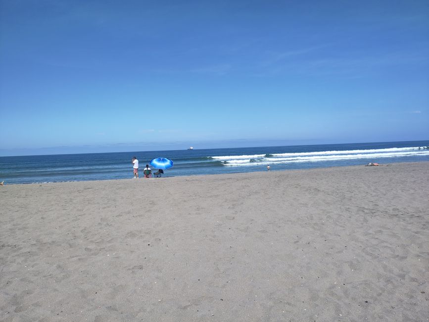 Arica (Chile): Surfen in der Wüste, liebevolle Haustiere und eindrücklicher Chungará-See 