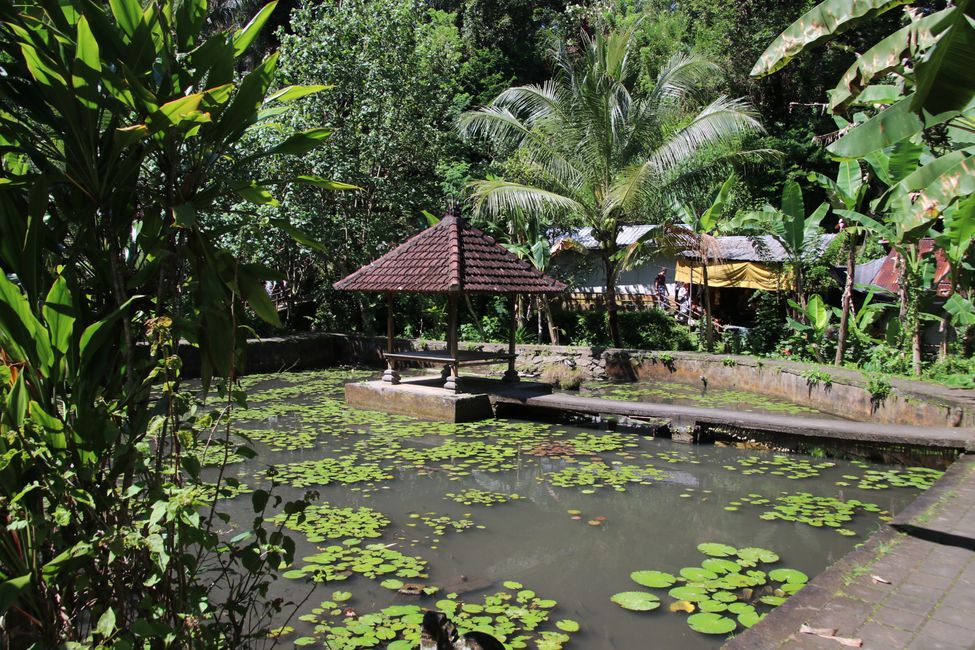 Day 11: Ubud and the Southern Tip of Bali