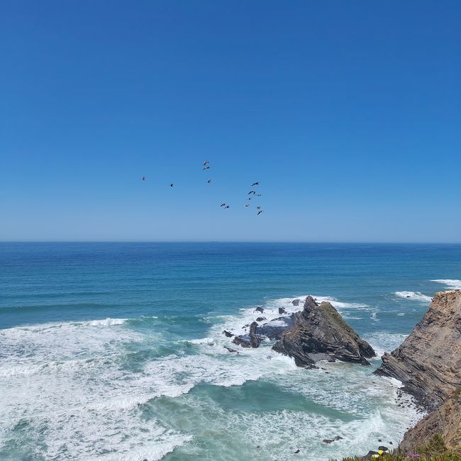Zambujeira do Mar -> Almograve