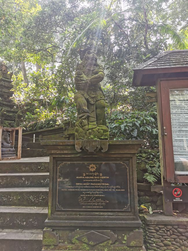 Excursión de un día a Ubud y Tegallalang