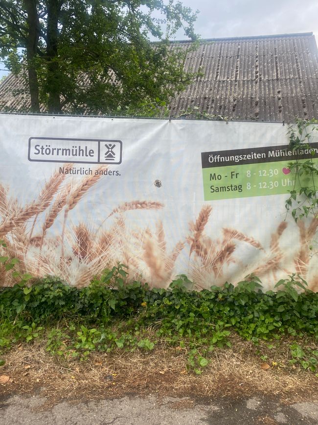 Auf dem Heimweg noch an der Mühle vorbei
