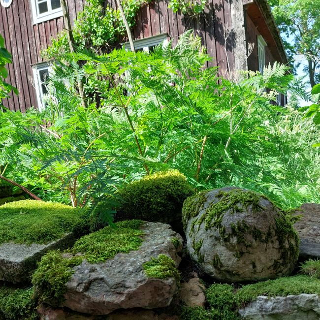 Südschweden-Tour  - Tag 8