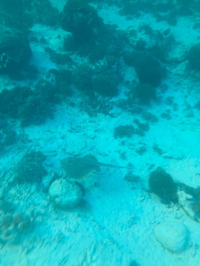 Auf der Marcopolo Blue von Lombok nach Flores