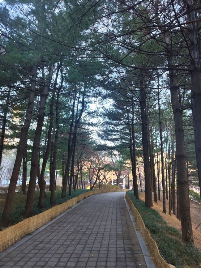 Montagne Ansan - Un aperçu de Séoul