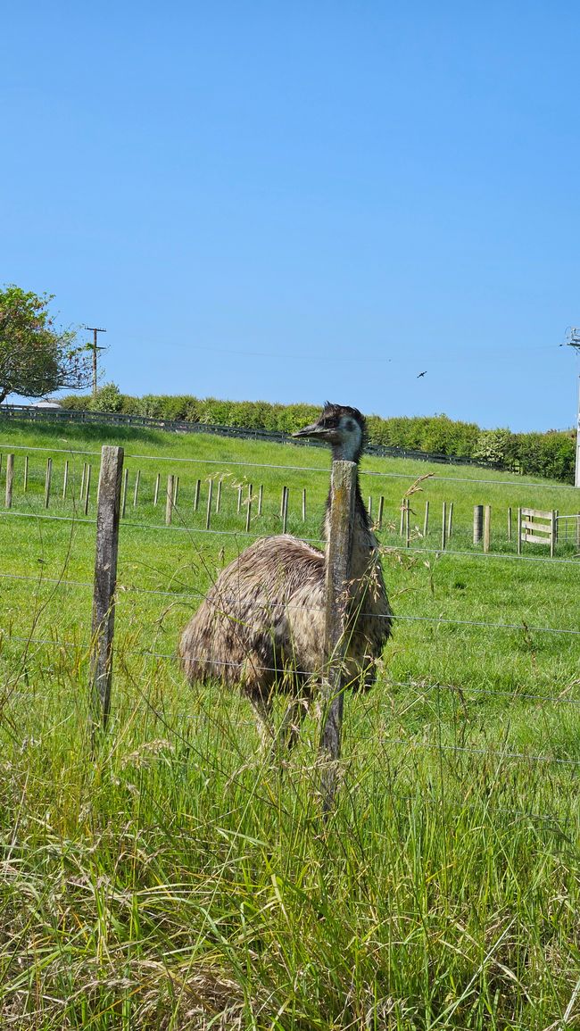 Ōtorohanga - Kawhia