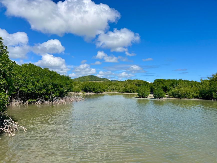 Tag 3 und 4 - Forte France - Sainte Anne - Plage des Salines - Observatorium des oiseaux