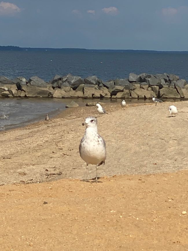 📍Colonial Beach, VA