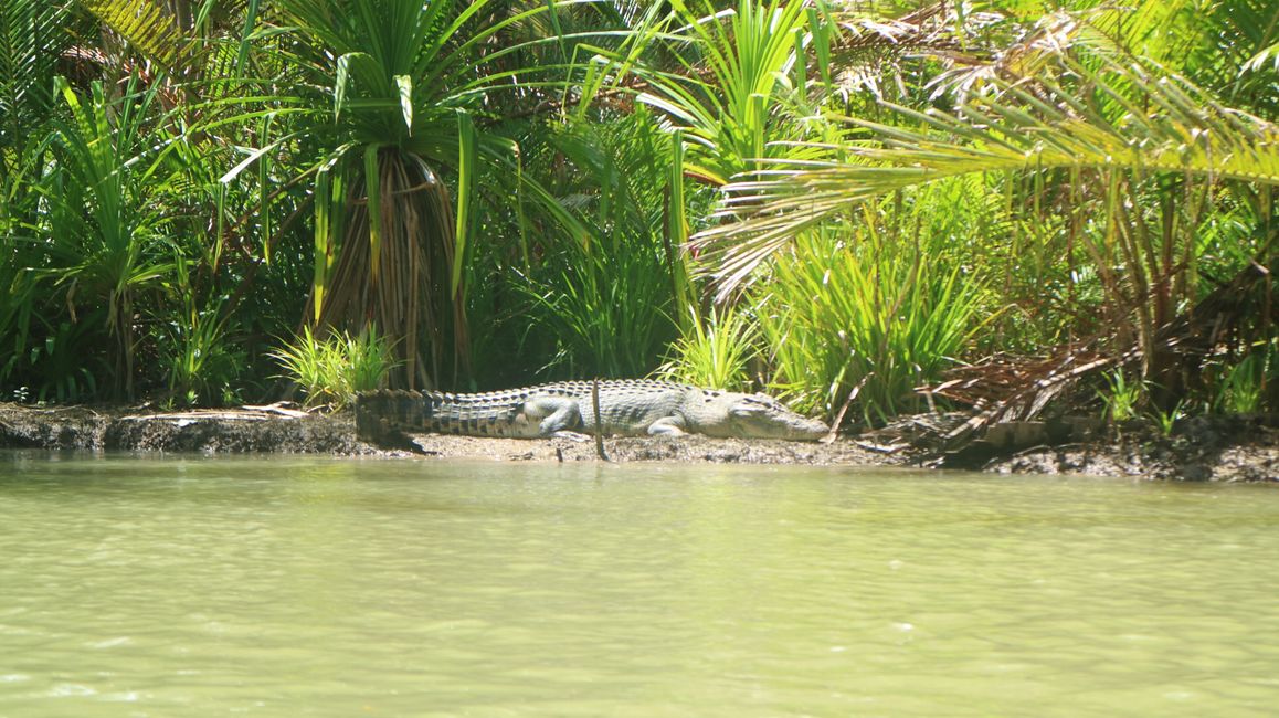 Sing Key Beach – Saleman – Seram Island – Molukken – Indonesien