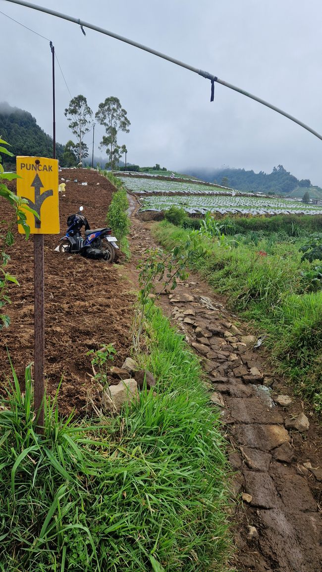 Semarang und Dieng – Dieng Plateau – Java – Indonesien