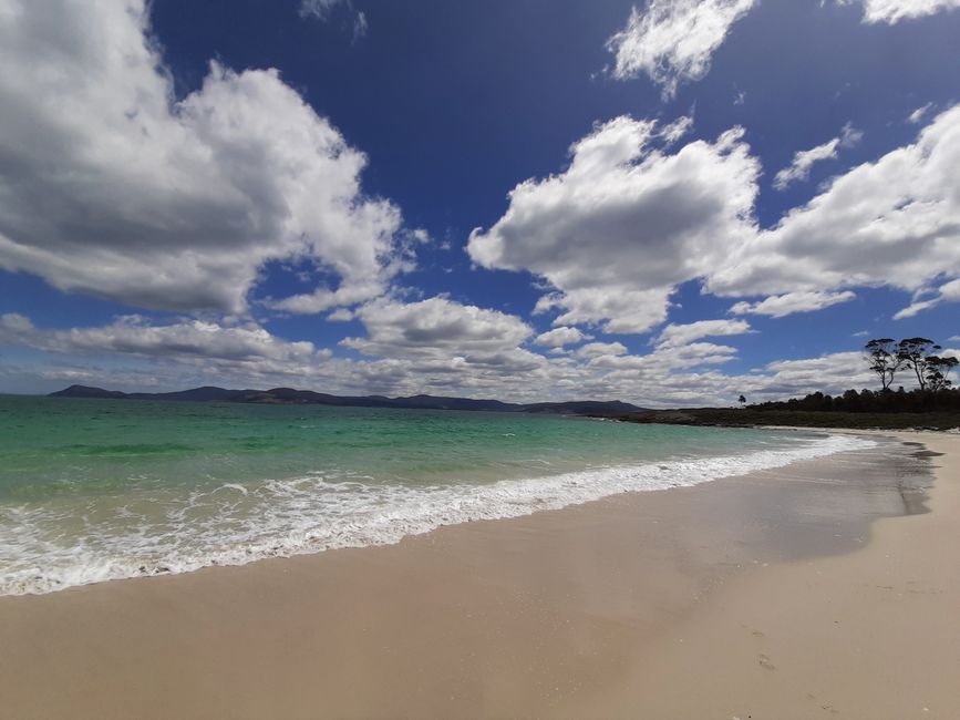 - Singapur & Tasmania 2019 -