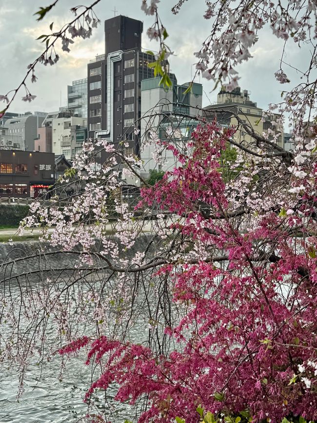 Part 8 Japan 🇯🇵 Kanazawa